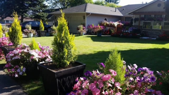 A beautifully landscaped garden with vibrant flowers and lush greenery basking in the sunlight.