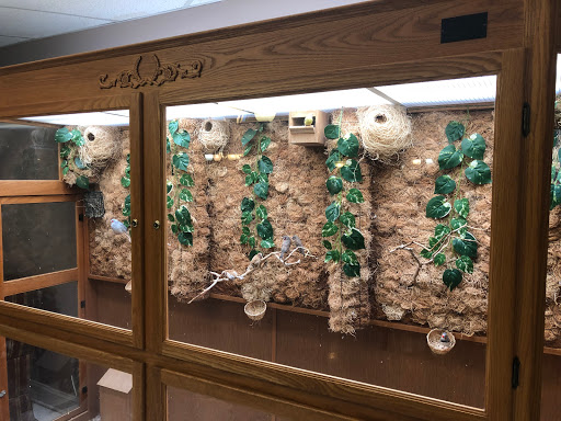 Lakewood Healthcare