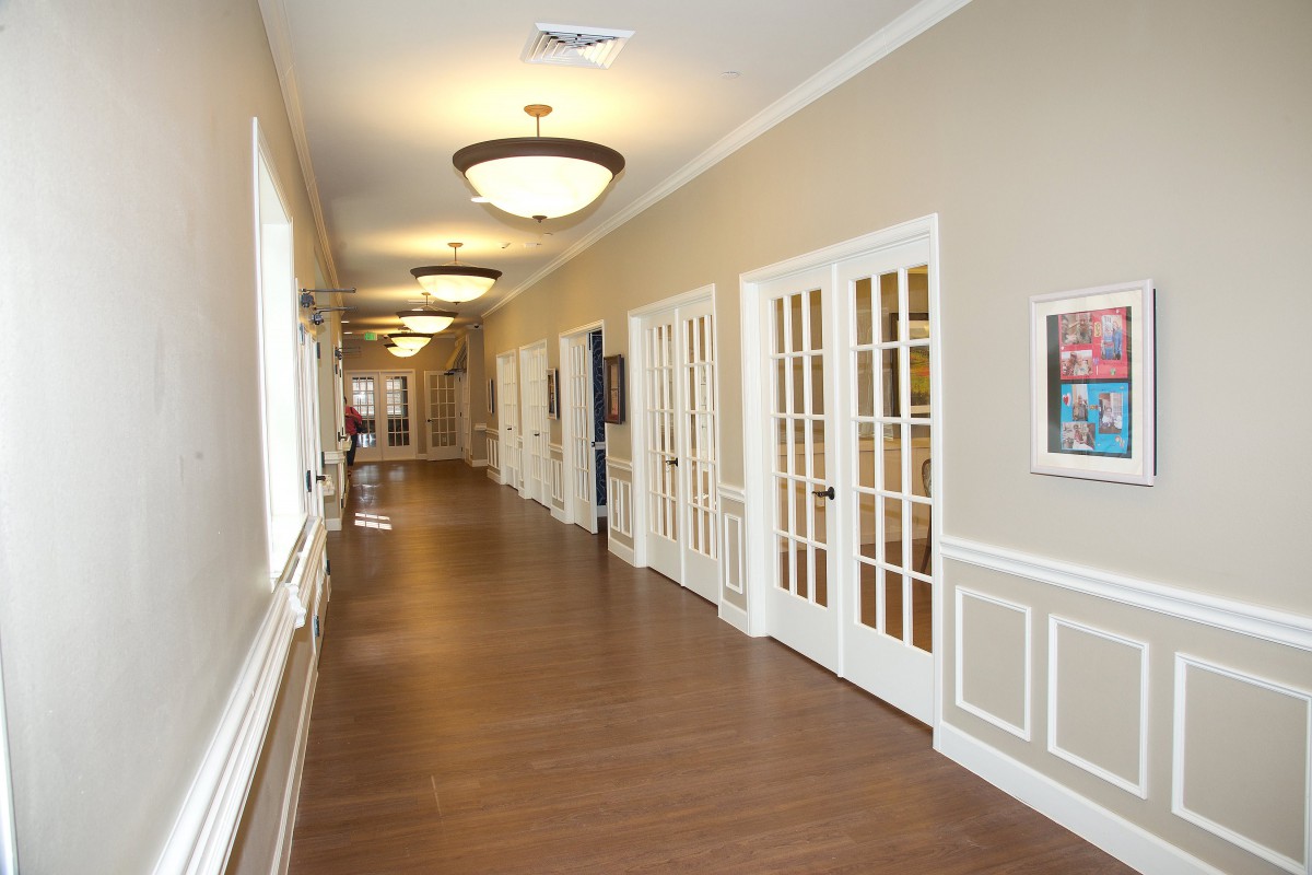 A bright and spacious hallway with wooden flooring and multiple glass doors.