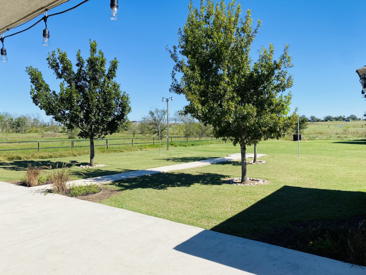A sunny day with a view of a well-maintained grassy yard and several trees.