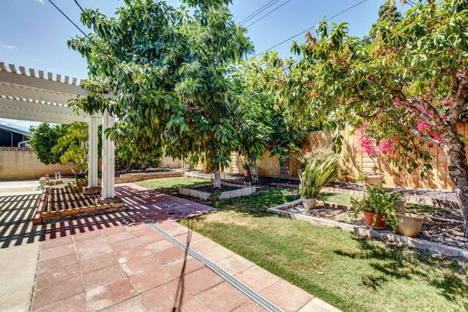 A sunny backyard garden with lush trees and well-maintained grass.