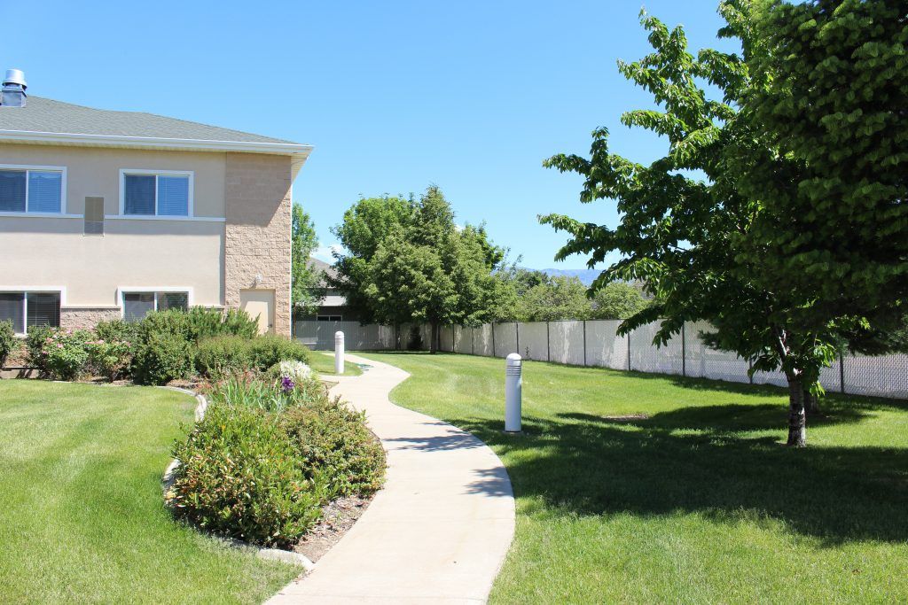 A well-maintained yard with a curving pathway, surrounded by lush greenery and trees, on a sunny day.