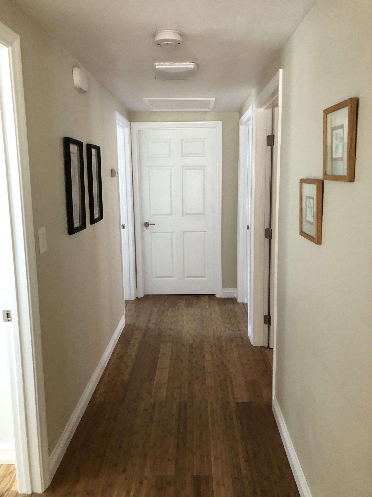 A bright hallway with wooden floors and artwork on the walls, featuring several doors.