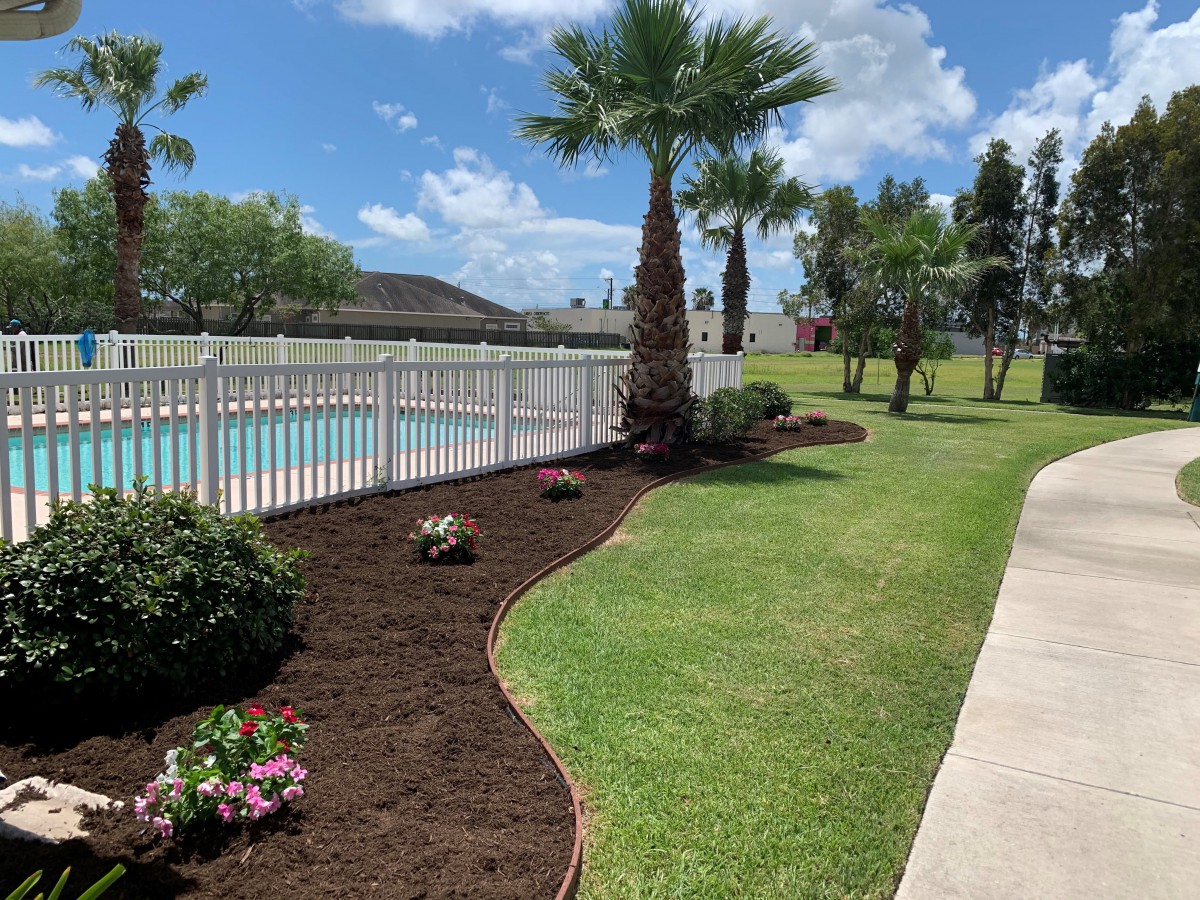 A beautifully landscaped yard with palm trees and a pool under a clear blue sky.