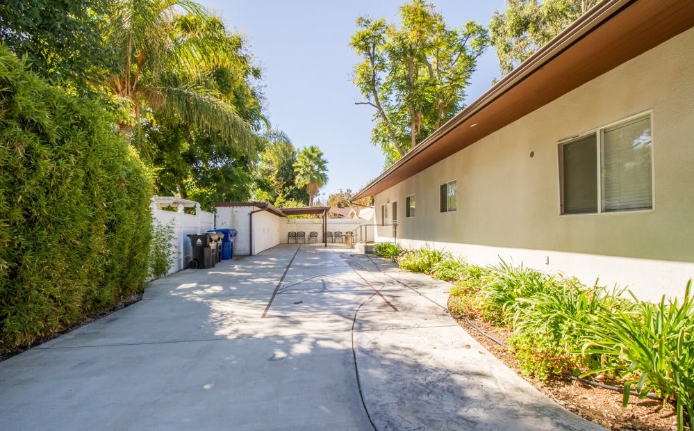 A sunny driveway leading to a house, surrounded by trees and landscaping.