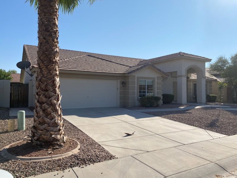 A suburban house with a palm tree in the front yard and a spacious driveway.