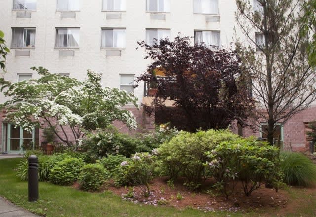 A lush garden with a variety of bushes and trees in front of a multi-story building.