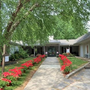 A charming pathway lined with vibrant red flowers leads to a cozy house surrounded by lush greenery.