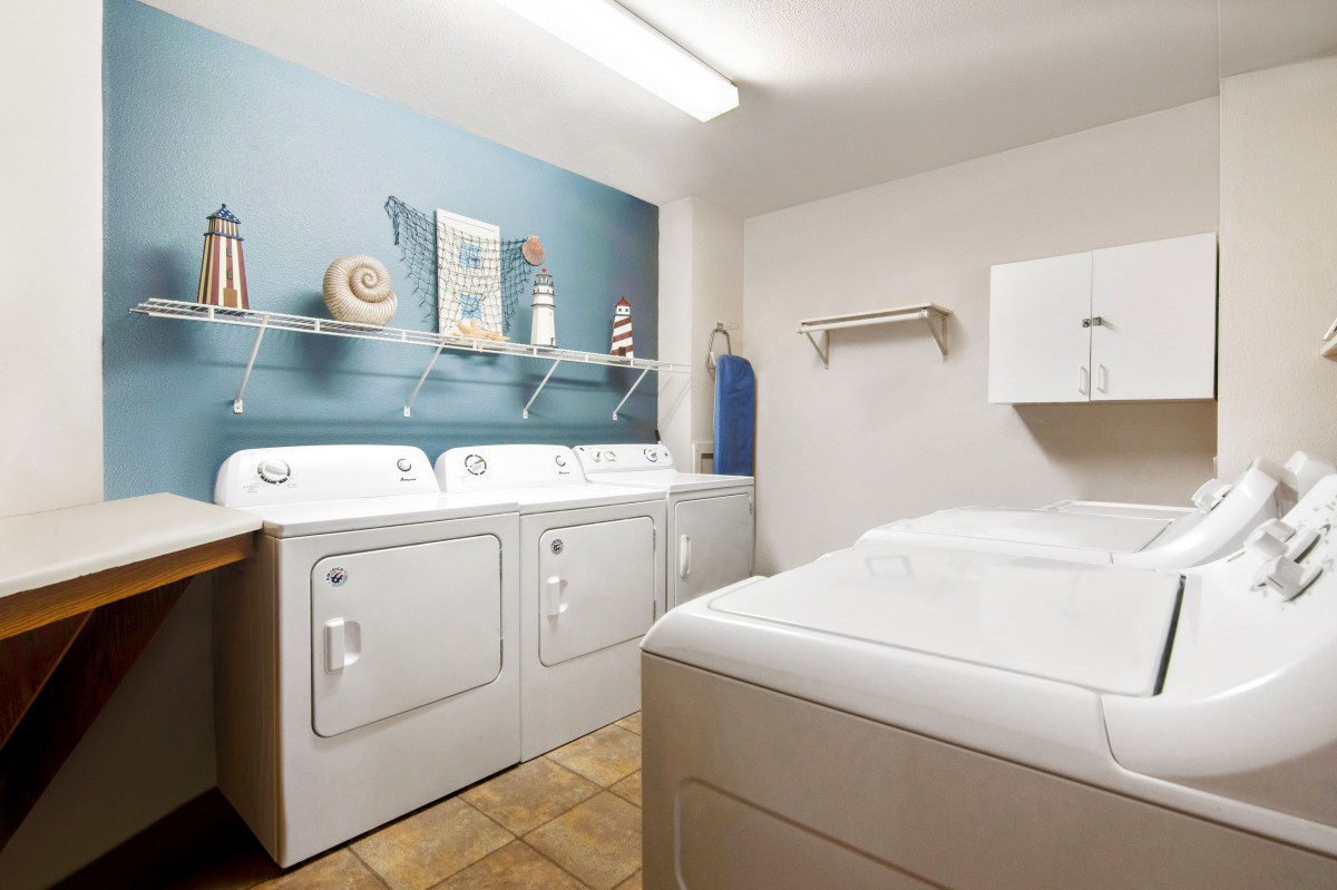 A neatly organized laundry room with washers and dryers, featuring decorative shelves.