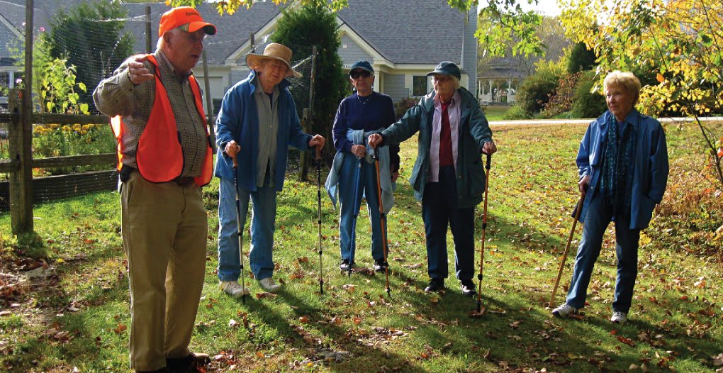 A group of elderly individuals with walking sticks enjoying a sunny autumn day.
