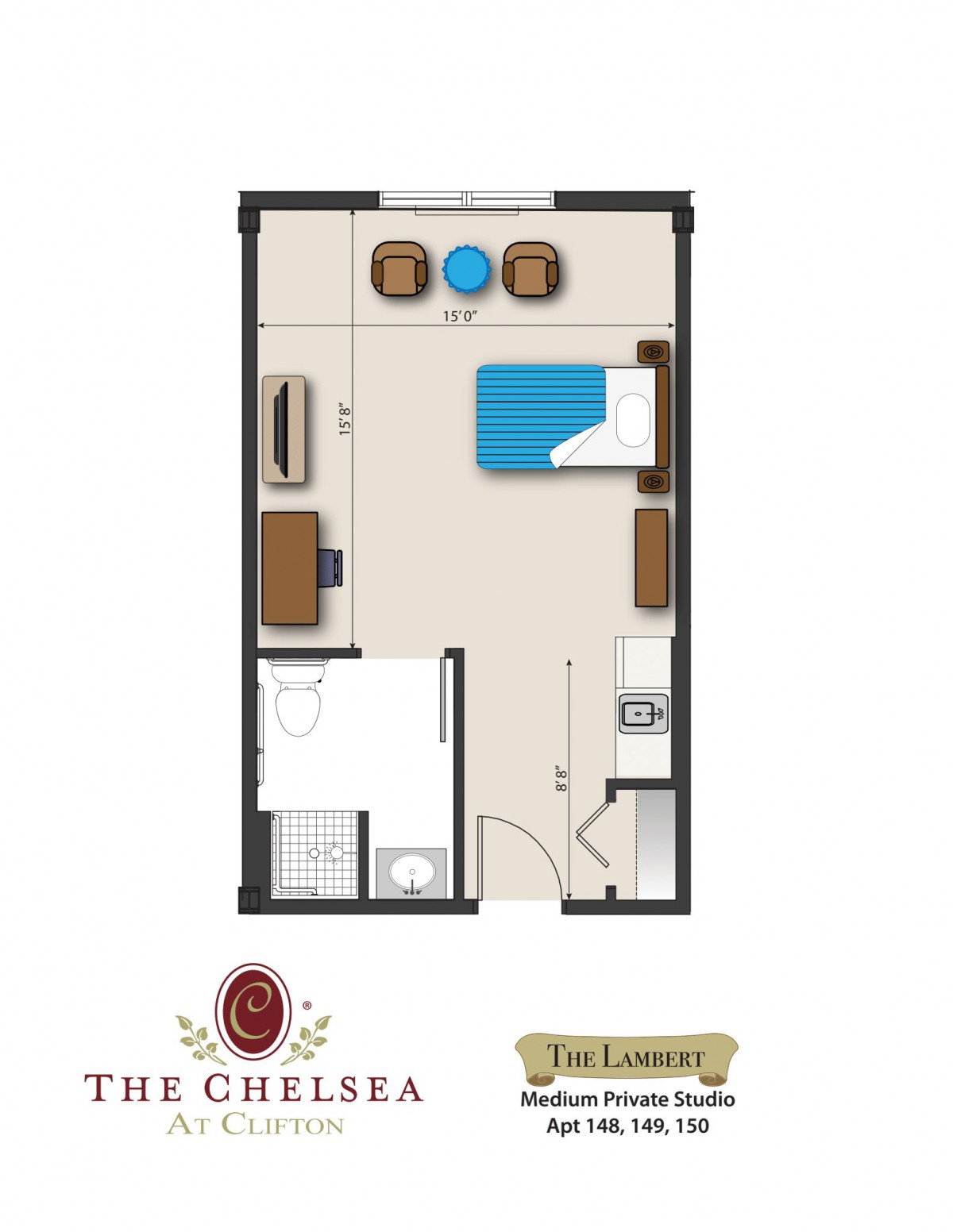 This is a floor plan of a studio apartment, showcasing the arrangement of furniture and room divisions.