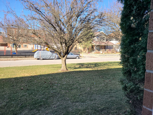 A sunny day in the neighborhood featuring a tree and a parked car.