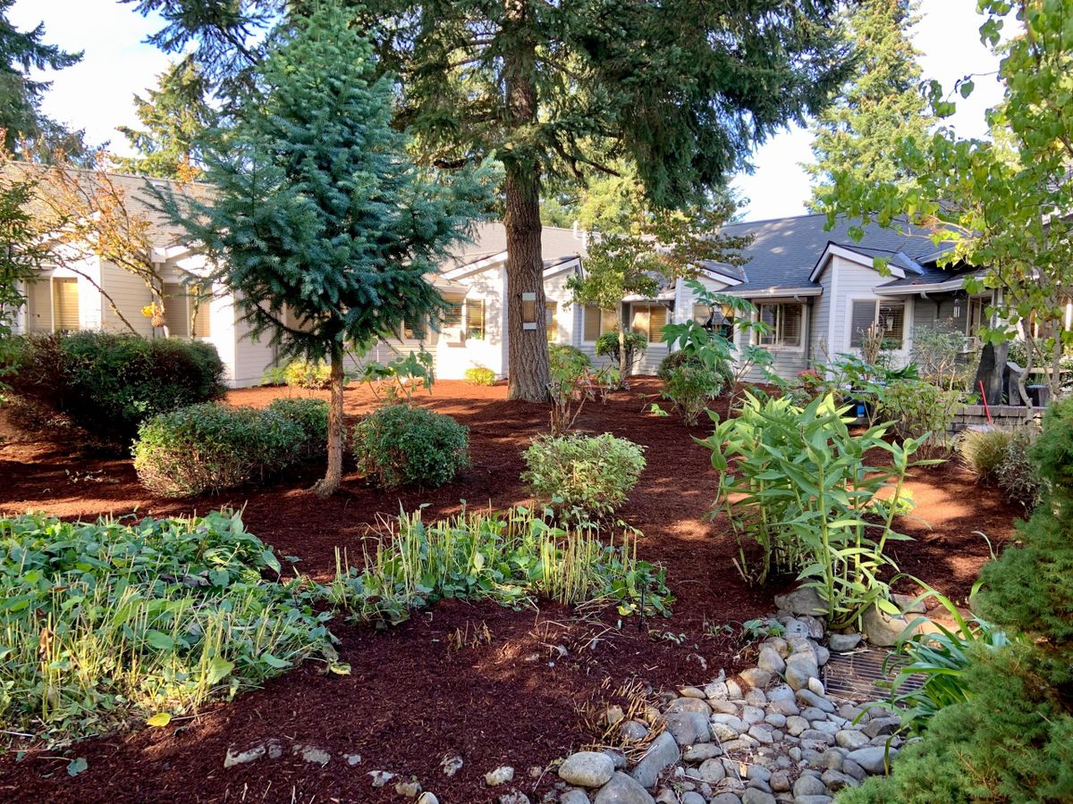Magnolia Gardens Senior Living and Memory Care