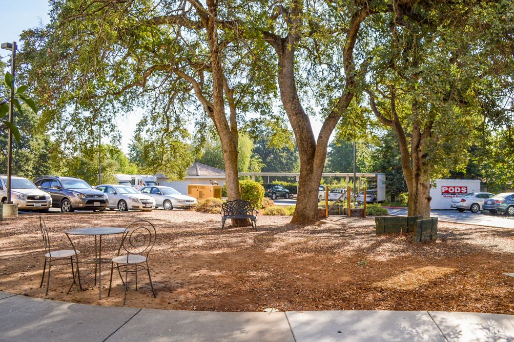 A peaceful outdoor area with trees providing shade over parked cars and scattered chairs.