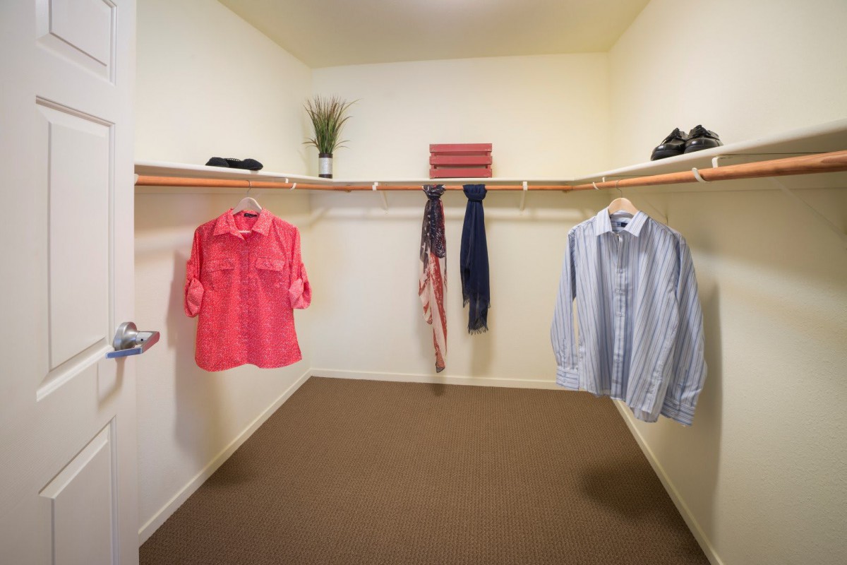 A minimalistic walk-in closet with shirts and scarves neatly organized on hangers.