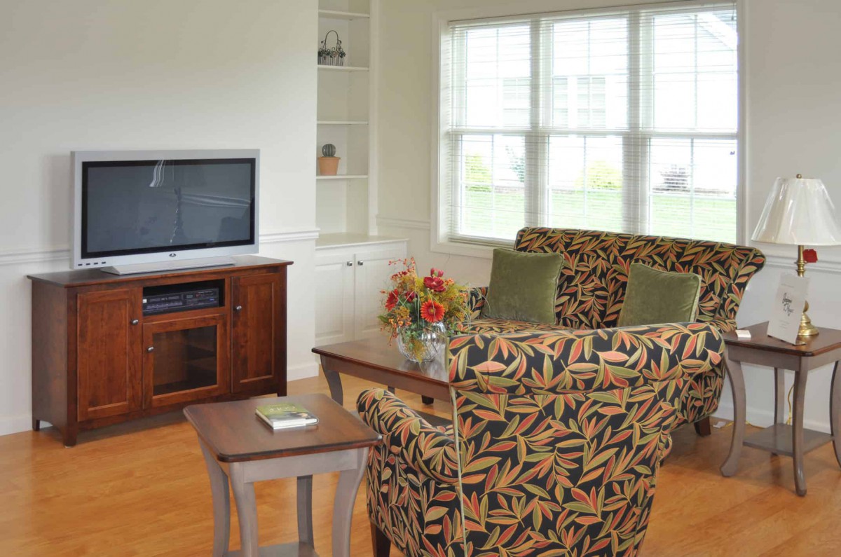A cozy living room with patterned sofas, a television on a stand, and a large window providing natural light.