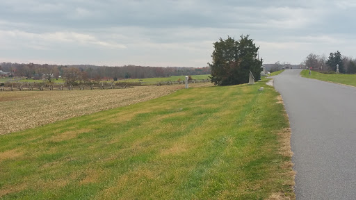 A serene landscape featuring a grassy field with trees under a cloudy sky.