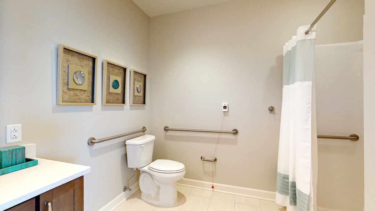 An accessible bathroom featuring a toilet with supportive handrails and decorative wall art.