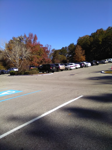 A parking lot surrounded by trees showcasing autumn colors under a clear blue sky.