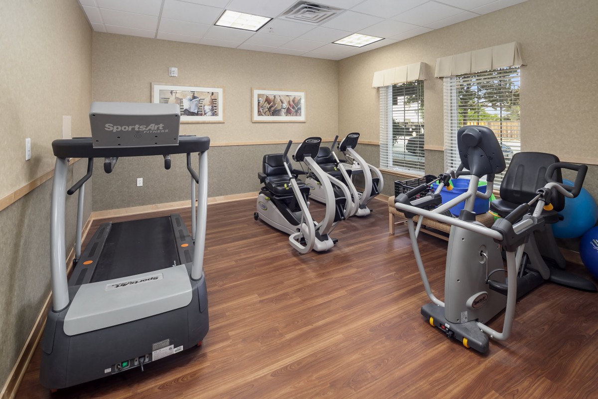 A modern indoor gym equipped with treadmills and elliptical machines.