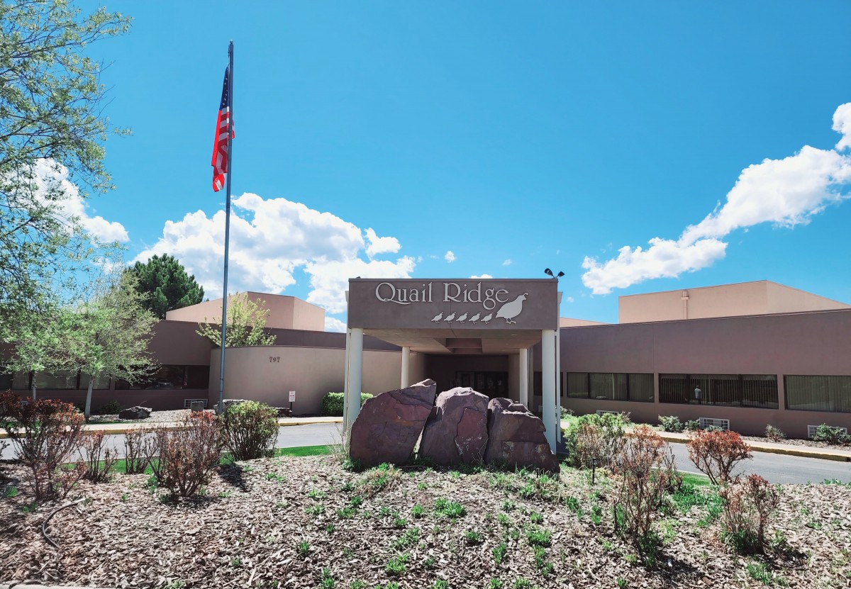 The entrance of a public library with an American flag flying nearby.