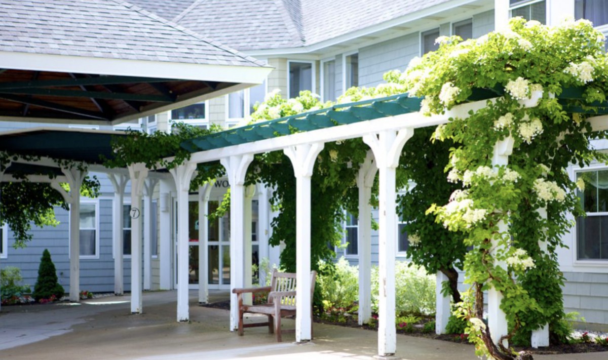 A white pergola with lush green vines growing over it, positioned in front of a building, and accompanied by a wooden bench.
