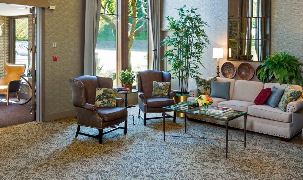 A cozy living room with modern armchairs and a coffee table, accentuated by large windows and decorative plants.