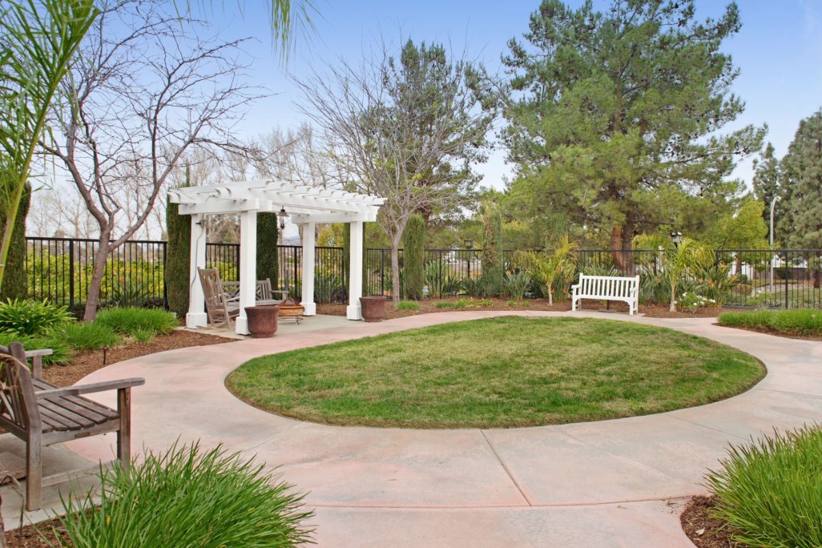 A tranquil garden with a pergola and bench surrounded by greenery.