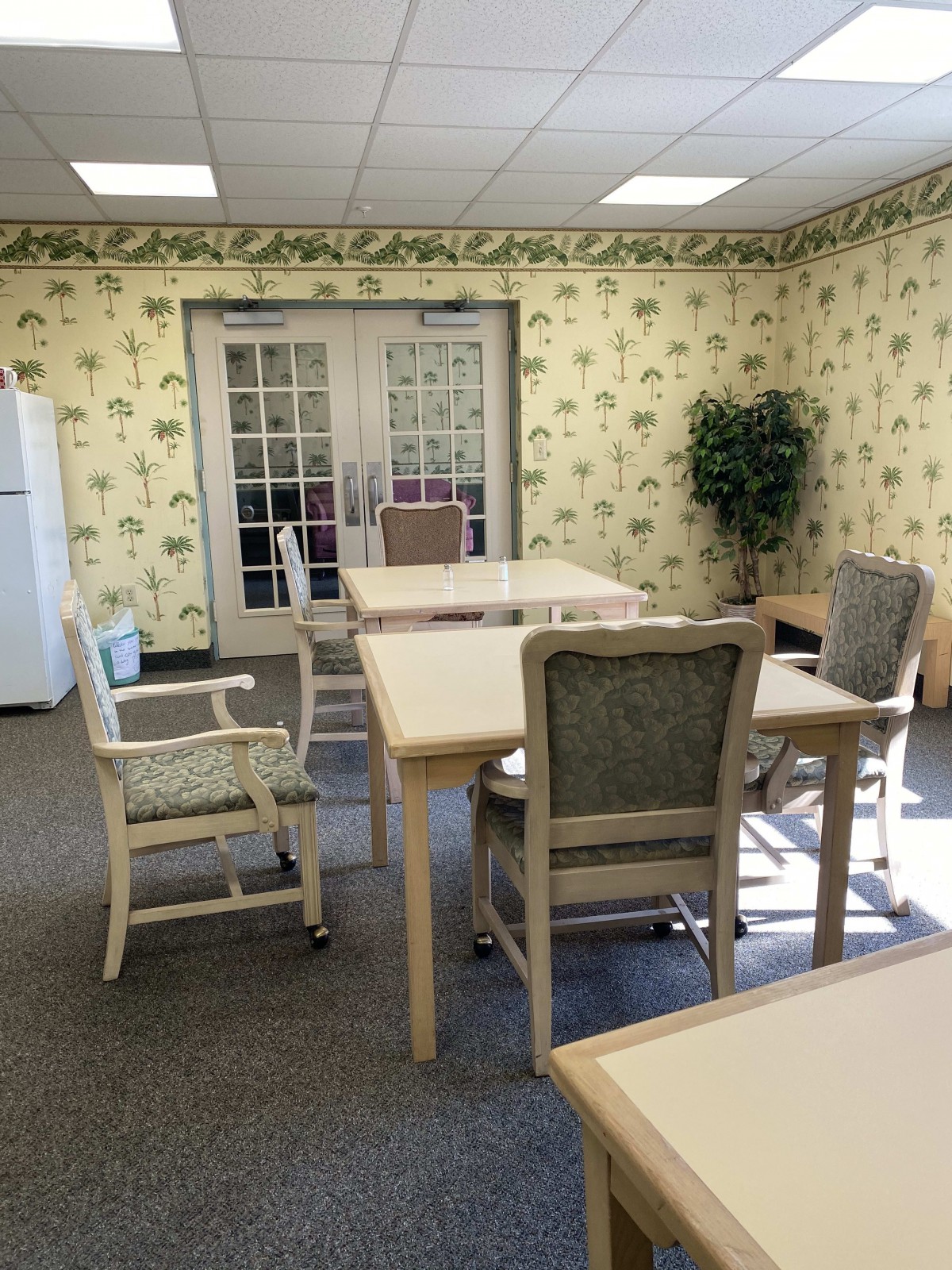 A well-lit room with tables and chairs arranged neatly, featuring floral wallpaper and a potted plant in the corner.