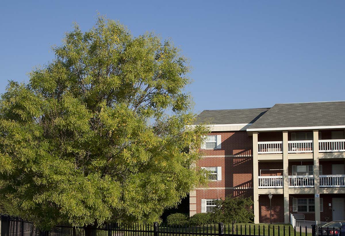 A residential apartment building with a tree in the foreground under a clear blue sky.
