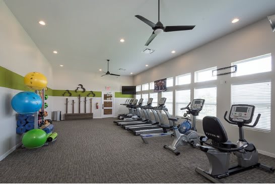A modern gym featuring a variety of exercise equipment including treadmills and stationary bikes.