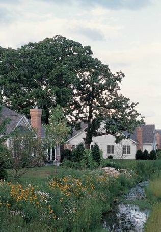 A suburban house surrounded by trees and greenery.