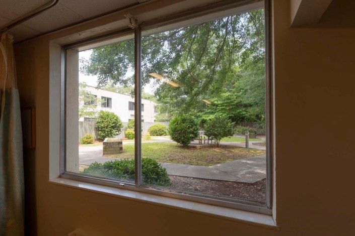 View through a window showcasing a garden with trees and bushes.