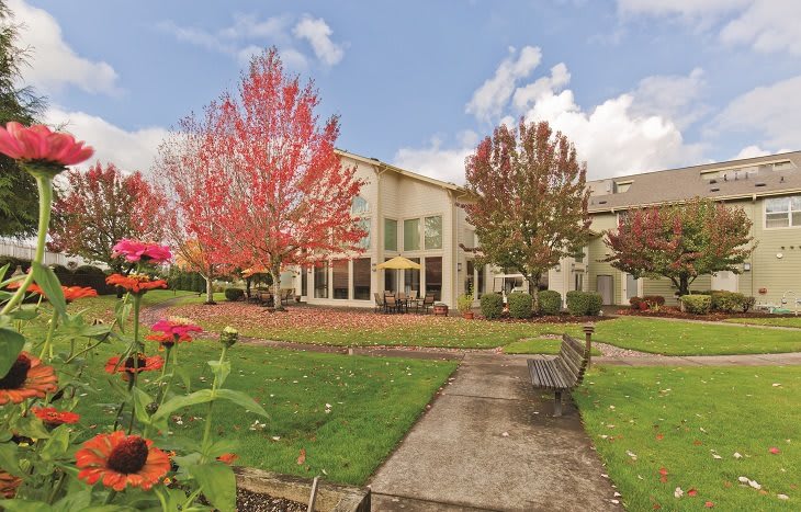 A scenic outdoor view of a building surrounded by vibrant autumn trees, with a pathway leading to a bench under a cloudy sky.