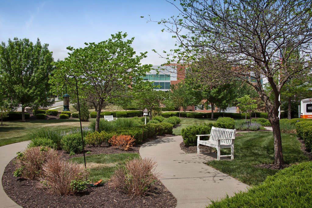 A peaceful garden with a winding pathway, surrounded by trees and greenery, featuring a white bench for relaxation.