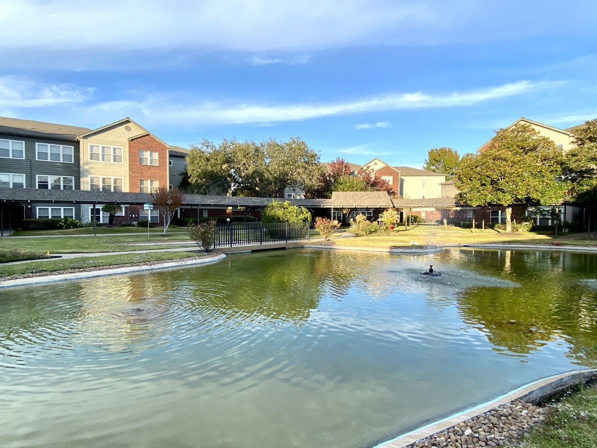 A serene park with a pond, surrounded by trees and buildings under a blue sky.