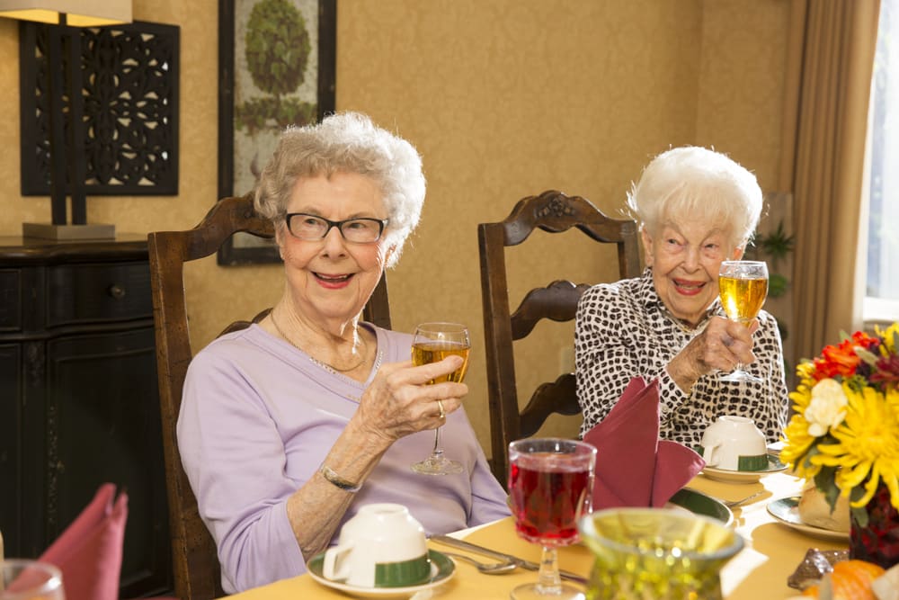 Two elderly women smiling and toasting with drinks at a dining table.