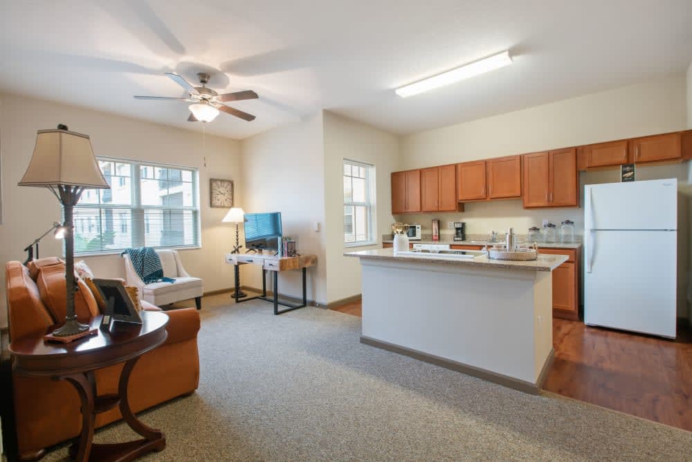 A modern open-concept apartment featuring a living room and kitchen area with natural lighting.