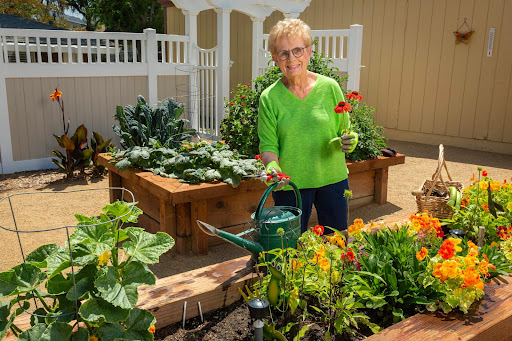 An elderly woman tends to her vibrant garden, showcasing her passion for gardening.