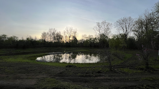 A serene view of a pond surrounded by trees at sunset.
