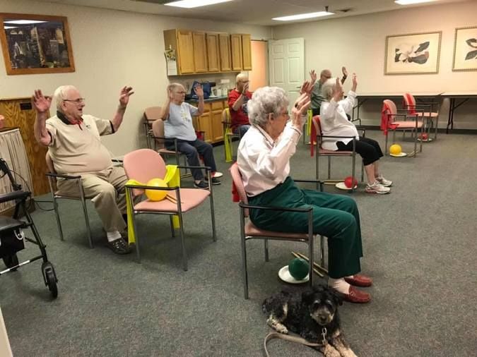 A group of seniors engaging in a seated exercise session indoors.