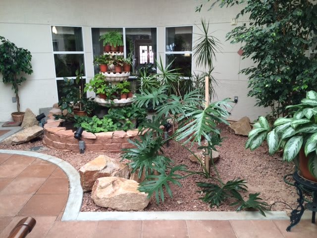 A beautifully arranged indoor garden with lush green plants and rocks.