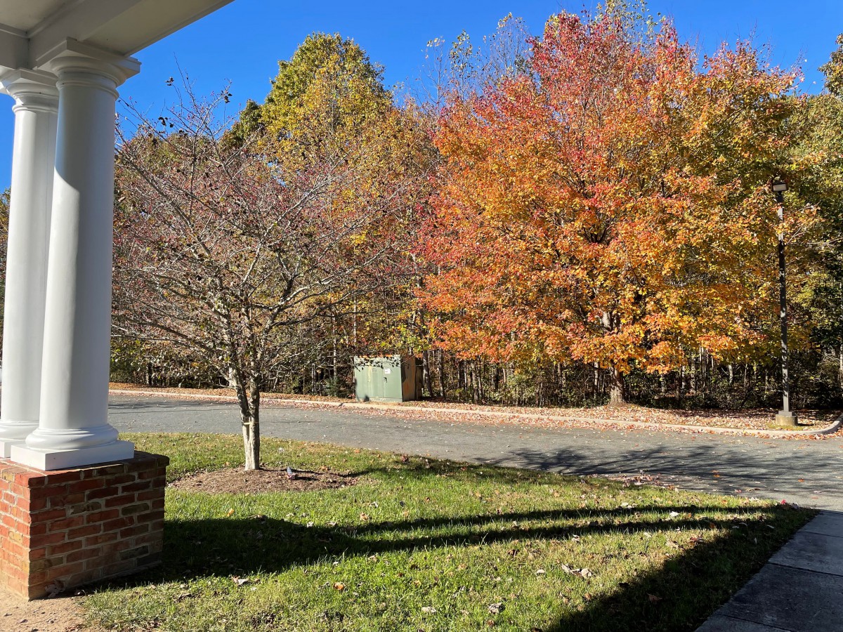 A scenic view of colorful autumn trees under a clear blue sky.