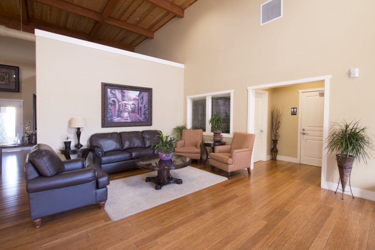 A spacious living room with modern furniture and elegant decor.
