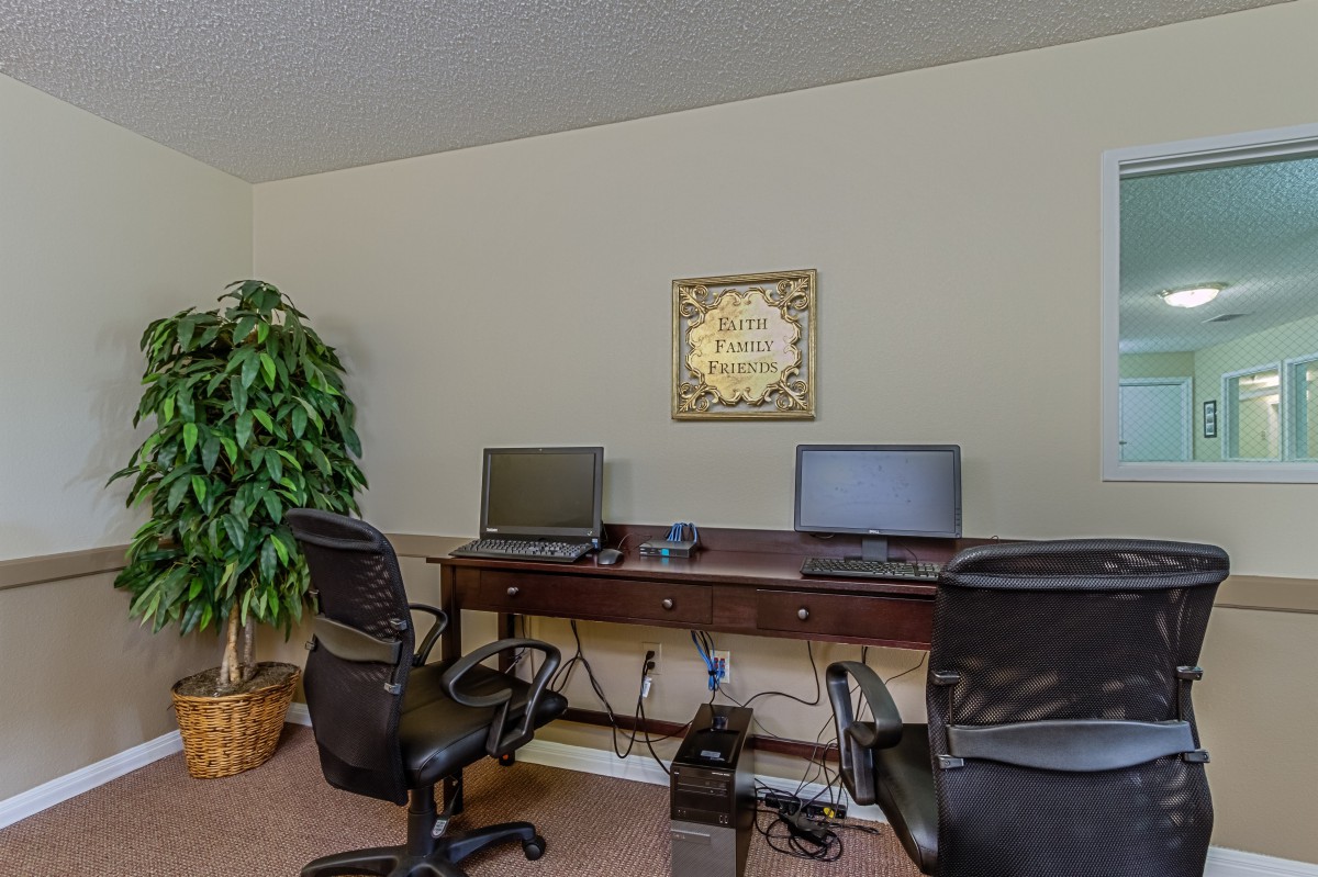 A minimalist office workspace with two computers on a desk, accompanied by chairs and a potted plant.