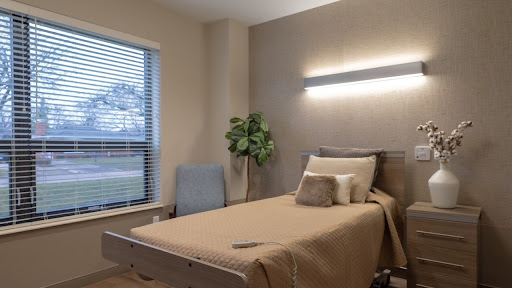 A cozy and minimalistic bedroom featuring a single bed, a plant, and a window with blinds.
