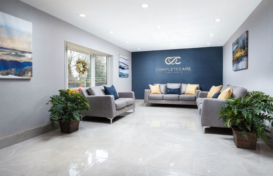 A modern living room with stylish sofas, a blue accent wall, and decorative plants.