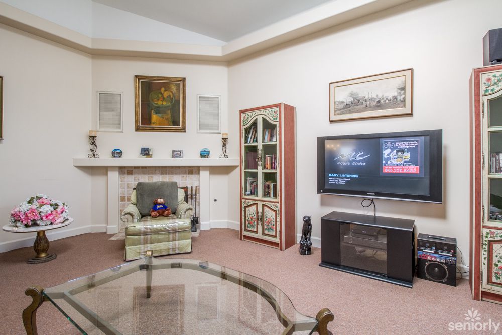 A cozy living room with a TV, fireplace, armchair, and various decorations.