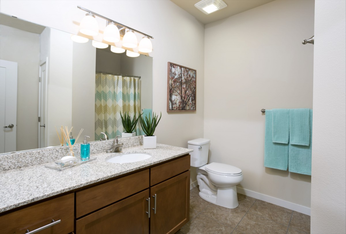 A clean and modern bathroom with a vanity, toilet, and decorative elements.