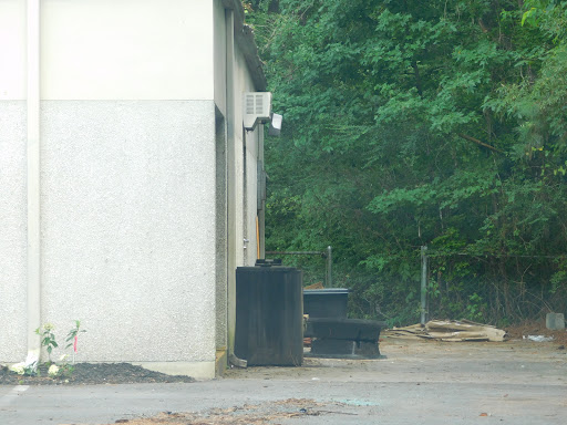 A view of a dumpster next to a building, surrounded by greenery.